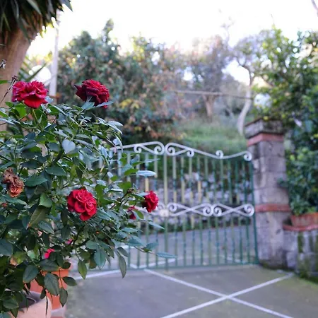 Casa Iaccarino
